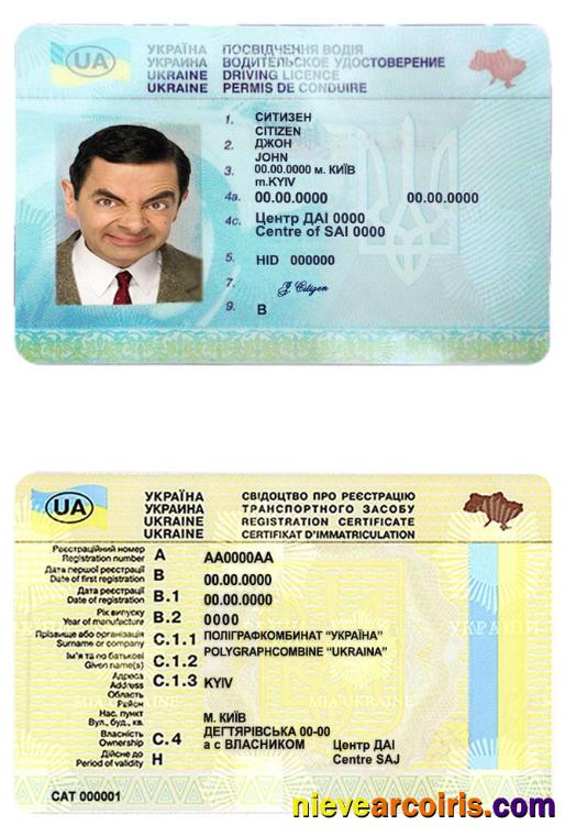 Ukraine driving license